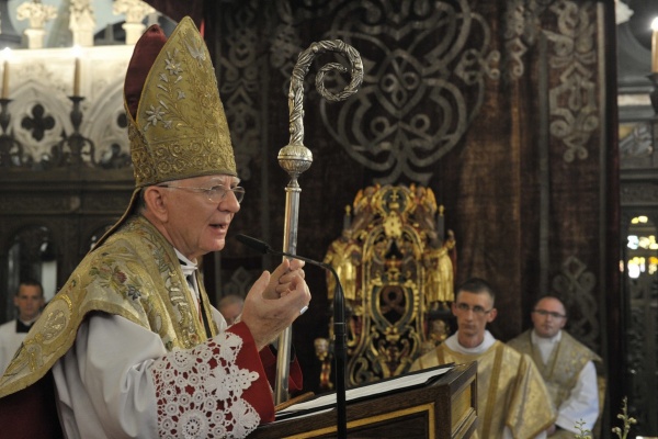 arcybiskup jędraszewski w katedrze wawelskiej